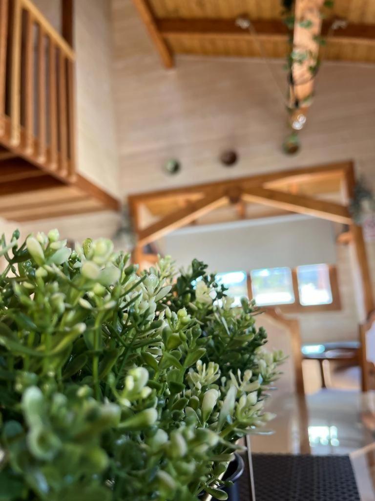 Luxury Rural Cuenca Villas Номер фото